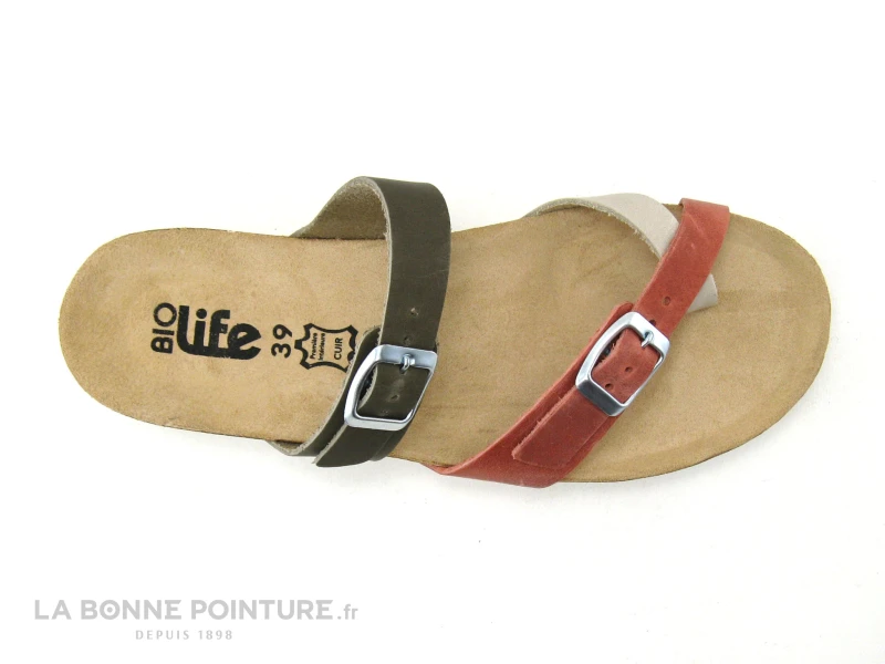 Bio Life 1934 964 Candy 05 Kaki - Rouge - Beige - Tong Femme – Image 5