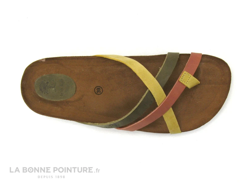 Inter Bios 7113 Teja Kaki Mostaza - Tong Femme Brides Croisees – Image 5